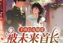 下乡后女知青被未来首长娇养了小说全文阅读需要付费吗?寻找免费资源-艾米文学