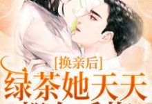 已完结小说《换亲后,绿茶她天天都在后悔》章节在线阅读-艾米文学