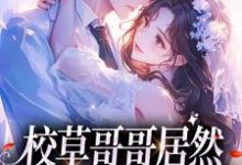 校草哥哥居然是我的联姻对象明浔苏闻祈小说完结版章节在线阅读-艾米文学