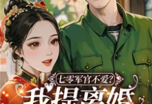 完结版《七零军官不爱？我提离婚他就发癫》免费阅读-艾米文学