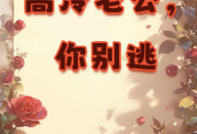 高冷老公，你别逃（展新颜江砚初）完整版在线免费阅读-艾米文学