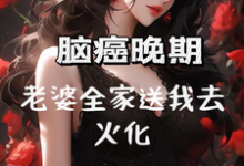 免费在线阅读脑癌晚期,老婆全家送我去火化小说的正规网站有哪些?-艾米文学