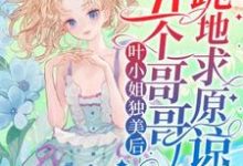 在线寻找叶小姐独美后,五个哥哥跪地求原谅小说的无删减版本-艾米文学