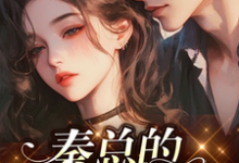 完结版《秦总的心尖人儿》章节阅读-艾米文学