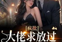 宋意傅西京小说免费阅读完整版-艾米文学