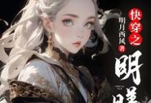 明曦慕影小说快穿之明曦完整版阅读-艾米文学