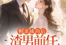 相亲成功后,渣男前任哭着求复合白清念小说大结局免费试读-艾米文学