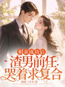 相亲成功后，渣男前任哭着求复合白清念小说大结局免费试读
