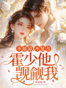 苏眠霍北寒小说不原谅，不复合，霍少他觊觎我完整版阅读
