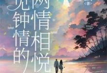 完整版《一见钟情的两情相悦》小说免费阅读-艾米文学