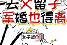 穿七零去父留子，军婚也得离这本小说怎么样？免费在线阅读试试-艾米文学