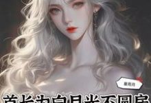 完结版《首长为白月光不圆房,重生不嫁了》在线免费阅读-艾米文学