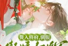 已完结小说《赘入将府,驯服傲娇女将军》章节免费阅读-艾米文学