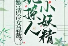 《赘婿:清冷女总裁?她撩人小妖精》小说免费阅读完整版-艾米文学