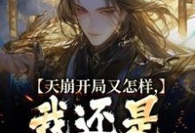 天崩开局又怎样,我还是大唐的王小说全文哪里可以免费看?-艾米文学