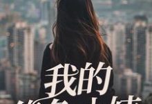 我的绝色小姨苏木徐佳莹小说完结版章节在线阅读-艾米文学