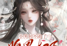 小说《小哭包不追了,腹黑权臣悔断肠》在线章节阅读-艾米文学