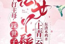 小说《打主母，踩世子，恶女丫鬟上青云》在线章节阅读-艾米文学