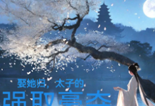 免费看娶她归，太子的强取豪夺小说的网站有哪些？-艾米文学