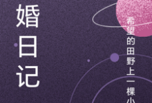 已完结小说《骗婚日记》章节免费阅读-艾米文学