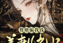 完结版《赘婿骗我钱养妻儿老小,弄死!》章节目录在线阅读-艾米文学