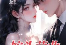 《按头营业》小说大结局免费试读 乔言辞叶致诚小说-艾米文学