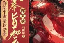免费看你给平妻请封诰命,我奉旨和离你哭啥?小说的网站有哪些?-艾米文学