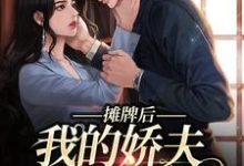 南烟傅靳司完整版《摊牌后,我的娇夫变小弟》小说免费阅读-艾米文学
