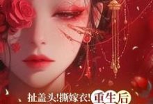 扯盖头!撕嫁衣!重生后她不忍了章节免费在线阅读,司若雪墨锦成完结版-艾米文学