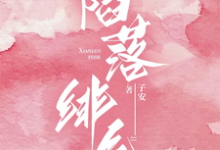 《陷落绯色》小说章节列表免费试读,岑绾沈屹骁小说在线阅读-艾米文学