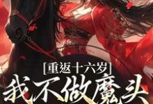 晏琅完整版小说免费阅读-艾米文学