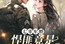 顾岂言沈单染小说《七零军婚,悍匪竟是首长小娇妻》完整版免费阅读-艾米文学
