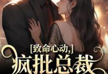 薄宴辞裴梨小说完整版《致命心动！疯批总裁掐腰诱哄》免费阅读-艾米文学