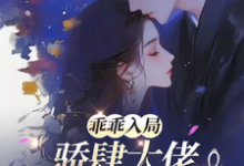 乖乖入局，骄肆大佬无处不低头小说有没有完结版在线？-艾米文学