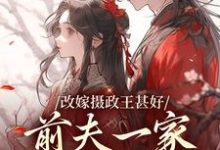 小说《改嫁摄政王甚好，前夫一家哀求回头》章节免费阅读-艾米文学