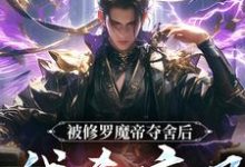 被修罗魔帝夺舍后，我杀疯了小说的所有章节都能在哪里免费读到？-艾米文学