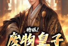 完结版《糟糕!废物皇子他觉醒了》免费阅读-艾米文学