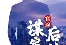 官途：谋定而后动小说完结了吗？在哪里可以免费读到？-艾米文学