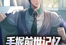 杨文完整版《手握前世记忆，我在官场杀疯了》小说免费阅读-艾米文学