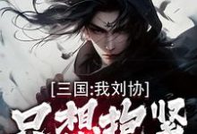 刘协完整版小说免费阅读-艾米文学