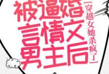 已完结小说《被逼婚言情文男主后,穿越女她杀疯了》章节在线阅读-艾米文学