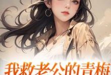 我救老公的青梅，却反被她诬陷陆子恒盛肖苒小说在线章节目录阅读最新章节-艾米文学