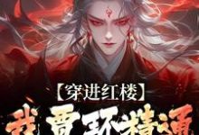 穿进红楼,我贾环精通朝堂争斗完整版小说,穿进红楼,我贾环精通朝堂争斗贾环-艾米文学