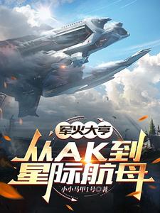 在线免费阅读军火大亨：从ak到星际航母完整小说