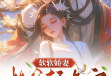 林君澈江清晚完整版小说免费阅读-艾米文学