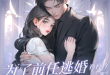 完结版《为了前任逃婚?她绝不原谅》章节阅读-艾米文学