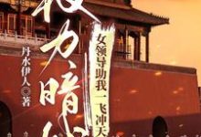 权力暗战：女领导助我一飞冲天王满仓何超美小说在线章节免费阅读-艾米文学