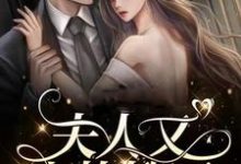 《夫人又上热搜了》夏婉完整版小说免费阅读-艾米文学