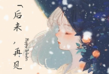 陆熠林沐小说后来,再见在线阅读章节-艾米文学