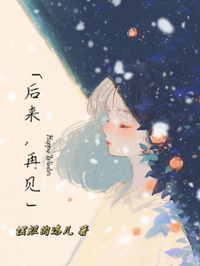 陆熠林沐小说后来，再见在线阅读章节